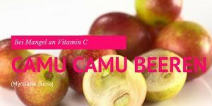 Camu Camu Beeren enthält Vitalstoffe wie Rutin