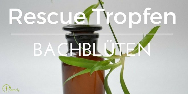 Bachblüten Liste Alle 38 Bachblüten Schnell Erklärt Incl - 