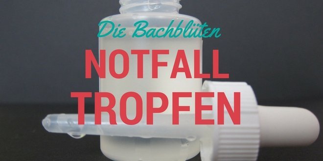 Bachblüten Liste Alle 38 Bachblüten Schnell Erklärt Incl - 