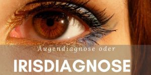 Augendiagnose, Irisdiagnose ist die Lehre von der Krankheitserkennung anhand der Analyse der Strukturen und der zugehörigen Reflexzonen